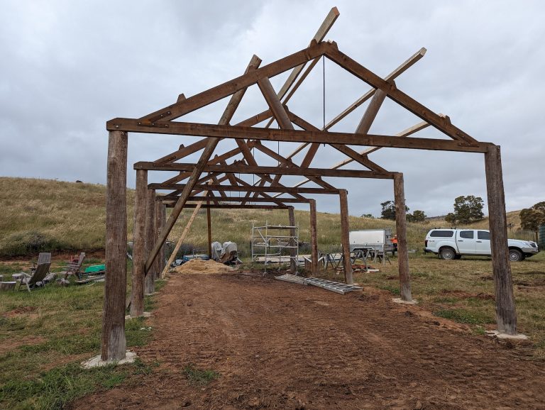 Harrogate - frame going up